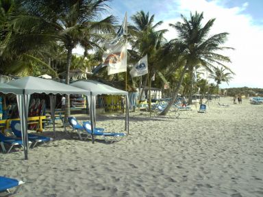 Reg-Mar.com le ofrece Hotel & Restaurant, 100% OPERATIVO

Es un renovador concepto de hotelera de descanso que pretende dar a los visitantes extranjeros, local y nacional, una visin real y alcanzable de la hermosa y tranquila zona del Yaque, que sin lugar a dudas, es la mejor y ms organizada playa de la Isla de Margarita. 

Sus instalaciones cuentan con 24 habitaciones, dotadas de aire acondicionado, telfono y TV, bao privado, su decoracin al estilo caribeo nos da la grata sensacin tpica de nuestro pas, su construccin una mescla de lo tradicional con concreto y madera, (puy) y cemento sobado en su friso, dndole el estilo caribeo entre palmeras arboles de la zona, tenemos el mas agradable hotel del Yaque,  con vista y acceso directo a la playa.

Este hotel de agradables instalaciones te ofrece los servicios bsicos para una excelente estada, sencillez y calidez propio de un hotel de playa en la playa..  BSF.12.500.000,00 ACTUALIZADO 07/2010
